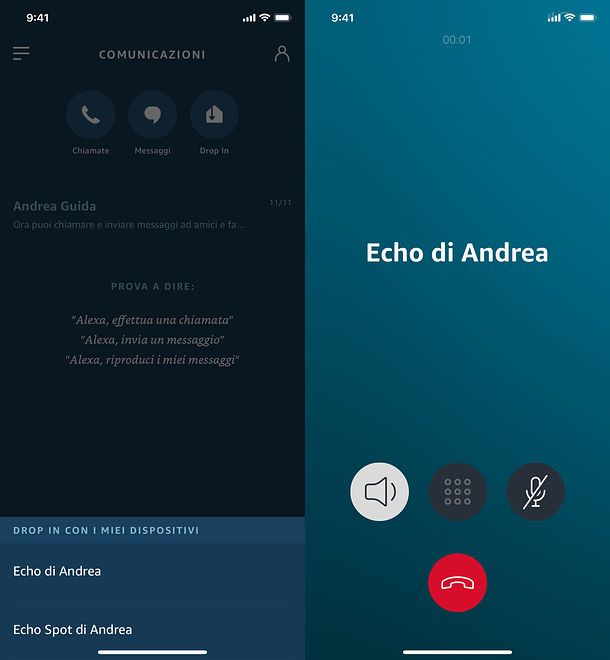 Chiamate ad Amazon Echo