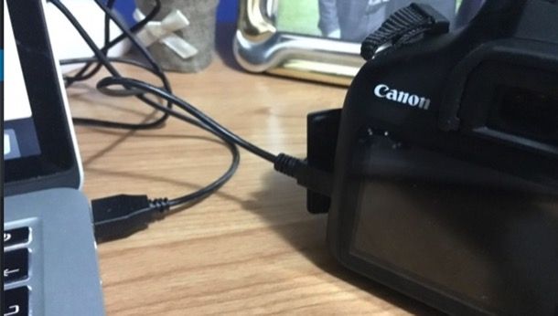 Come trasferire foto da Canon a PC