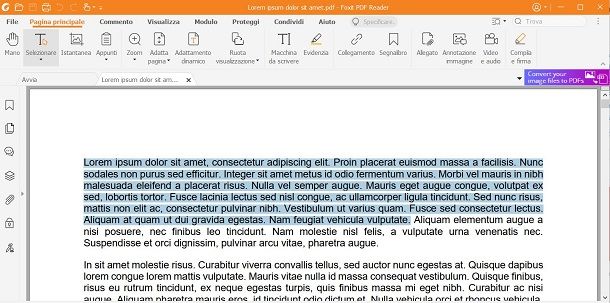 Foxit PDF Reader