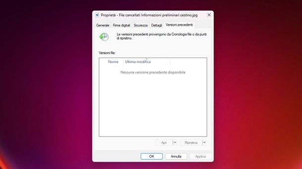 Copie Shadow Windows 11