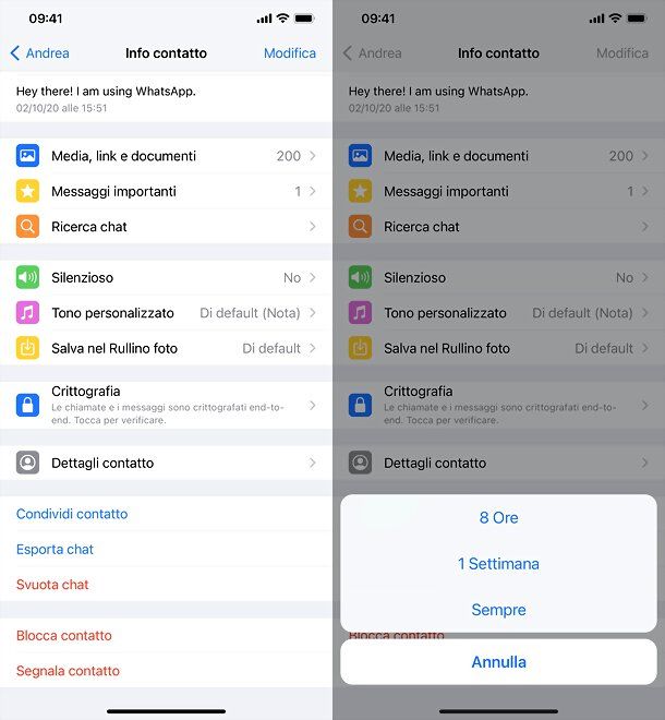 Come silenziare un contatto su WhatsApp: iOS