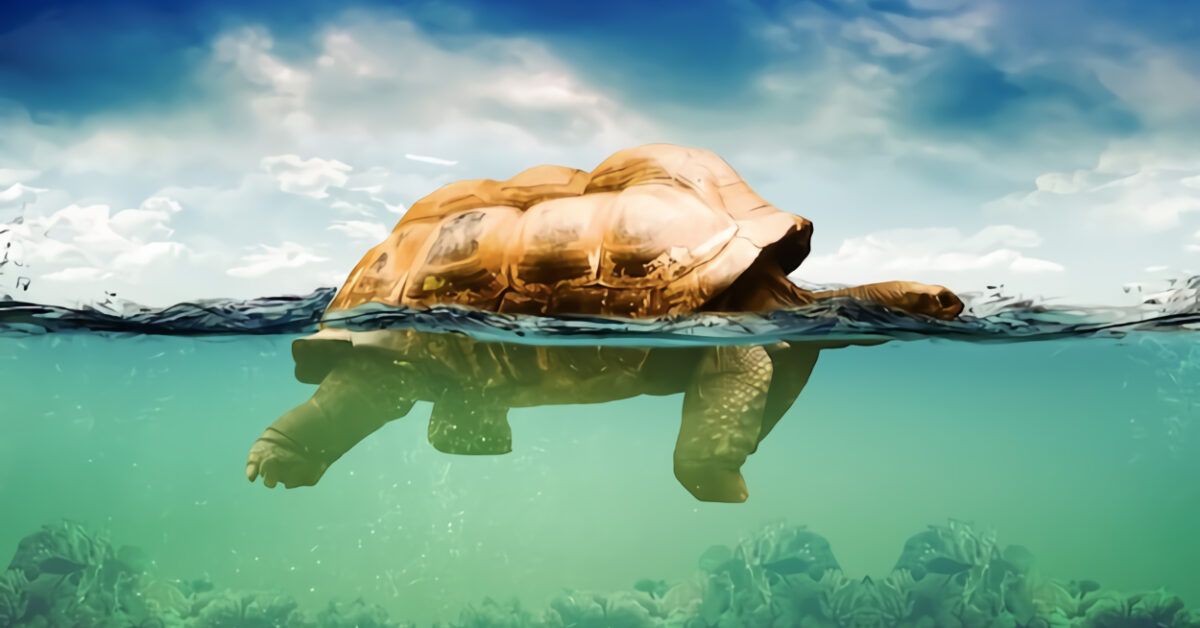  Come-fare-foto-sott-acqua