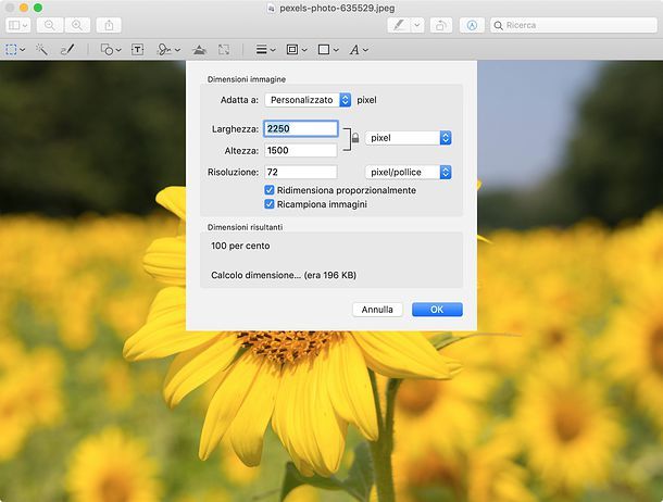 Come ridimensionare una foto con Anteprima
