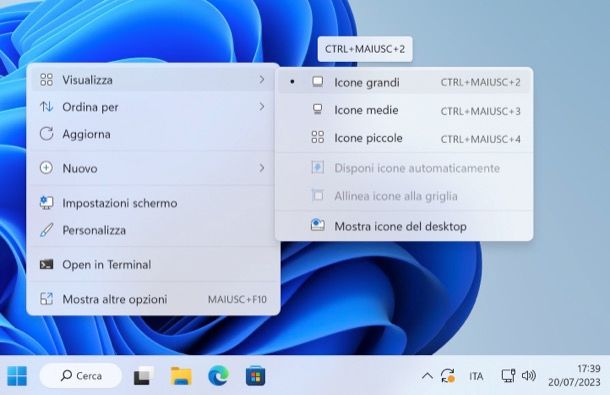 Ingrandire icone desktop Windows 11