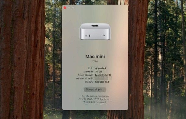 Come installare Windows 7 su Mac