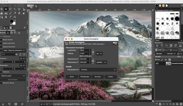 Scalare un'immagine su GIMP