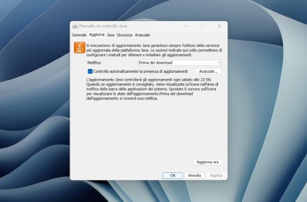 Aggiornamento Java Windows
