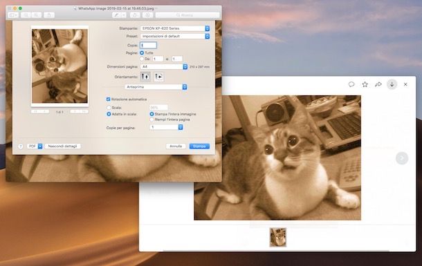 Come stampare foto da WhatsApp