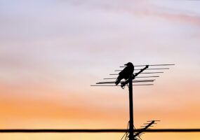 Come montare antenna TV