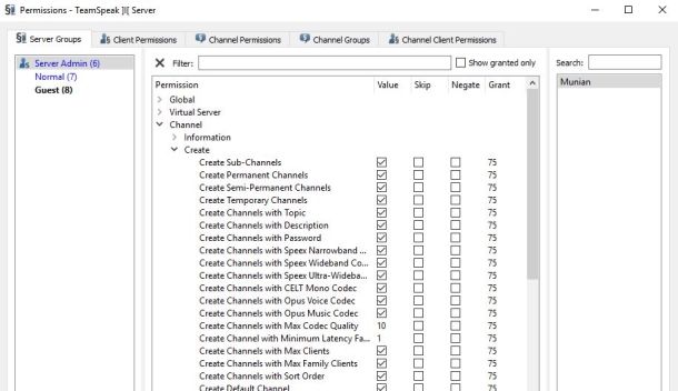 Come usare TeamSpeak