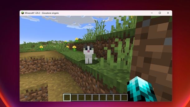 Dove trovare un gatto su Minecraft