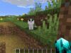 Come addomesticare un gatto su Minecraft