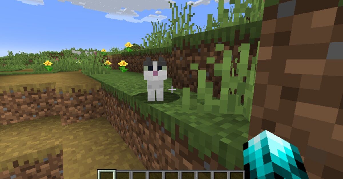 Come Si Addomestica Un Gatto Su Minecraft