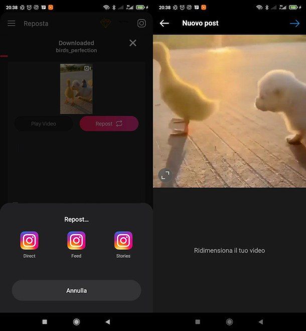 Come ripostare un video su Instagram