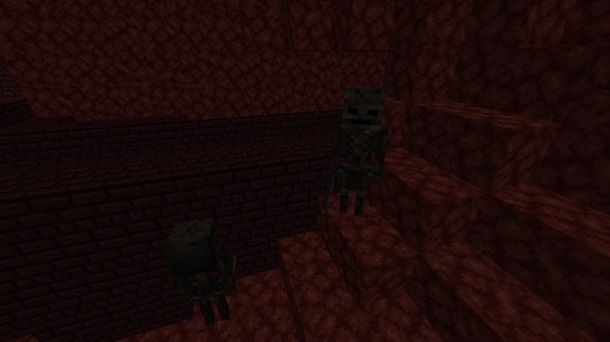 Scheletri Wither Minecraft