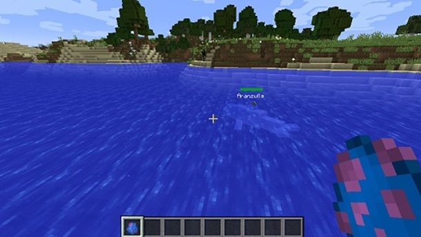 Delfino Minecraft Aranzulla