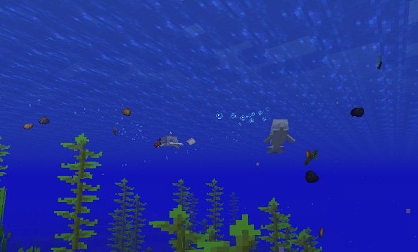 Delfini che giocano Minecraft