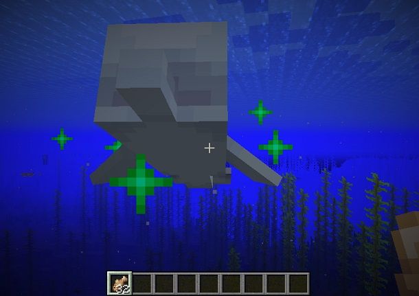 Nutrire delfino Minecraft