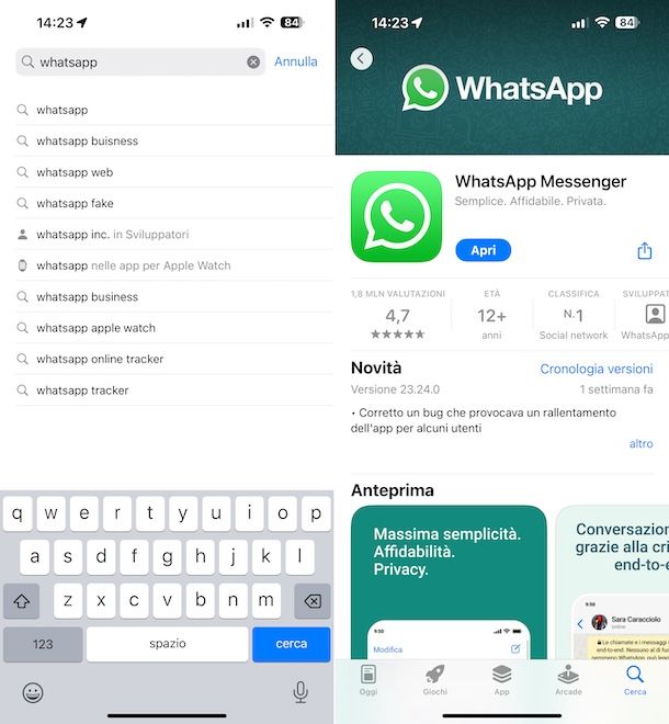 WhatsApp App Store