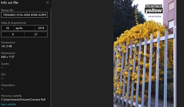 Foto Windows