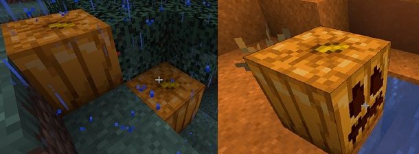 Zucca Minecraft