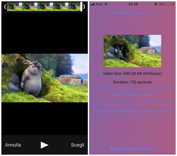 Come rimuovere l'audio da un video con iPhone - Mute Video
