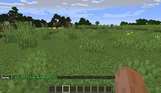 seed Minecraft