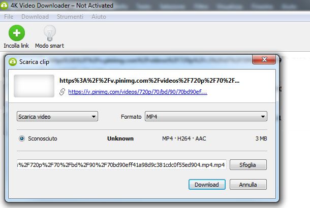 4K Video Downloader, scarica clip