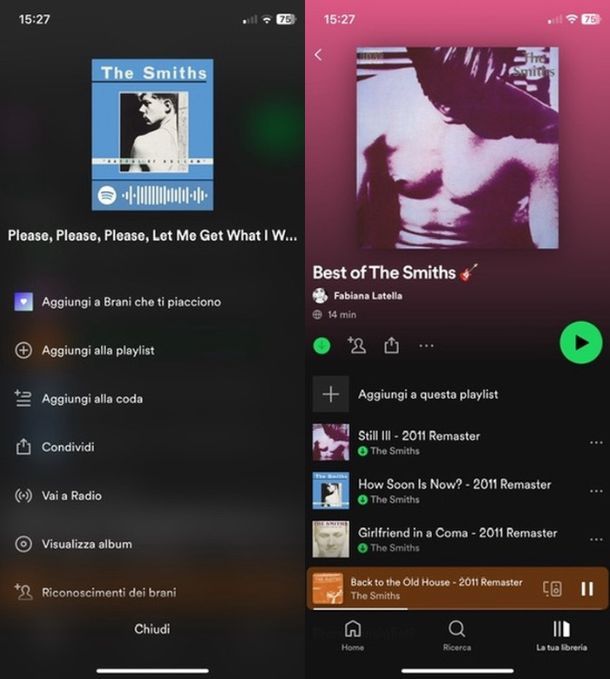 Scaricare musica offline