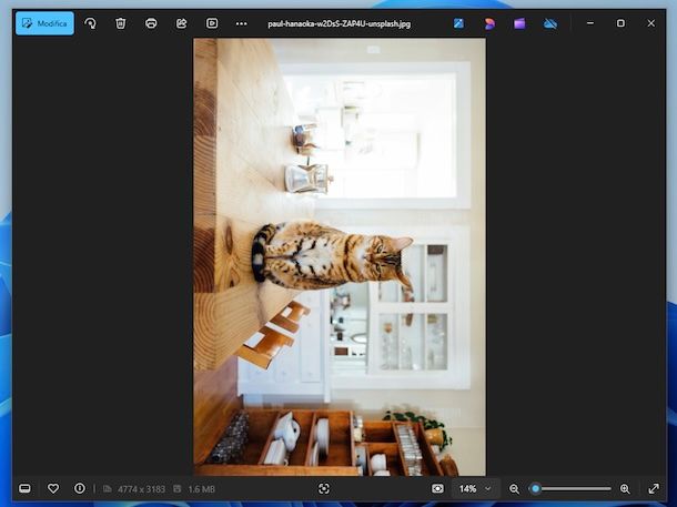 Foto Windows 11