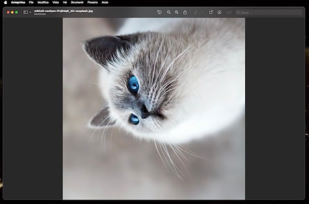Anteprima macOS