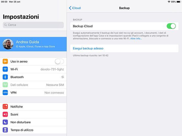 Backup iPad