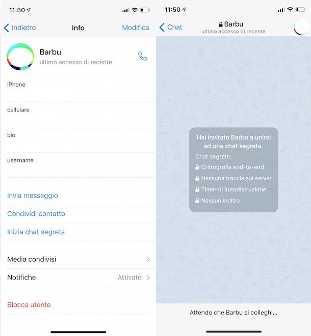 Creare una chat segreta su Telegram