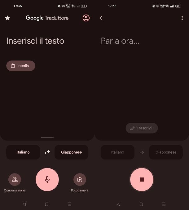 Come usare Google Translate vocale