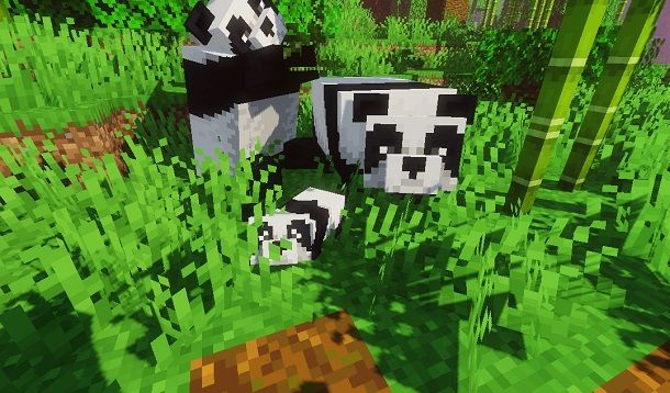 Addestrare i panda su Minecraft