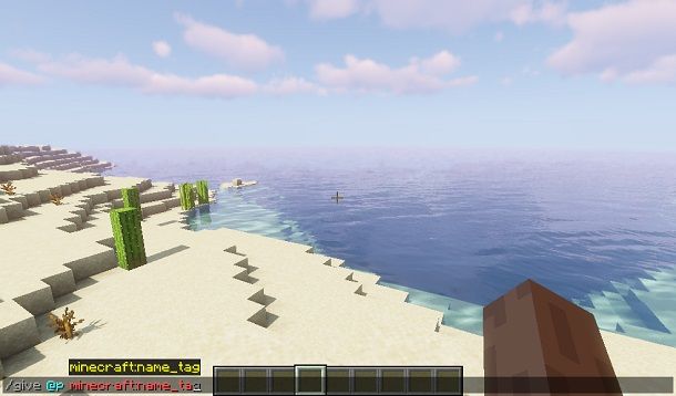 Comandi per aggiungere la targhetta su Minecraft