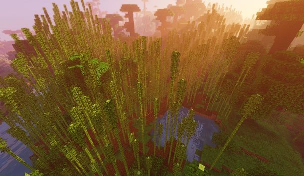 Giungla di bambù su Minecraft