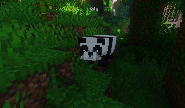 Panda nella Giungla