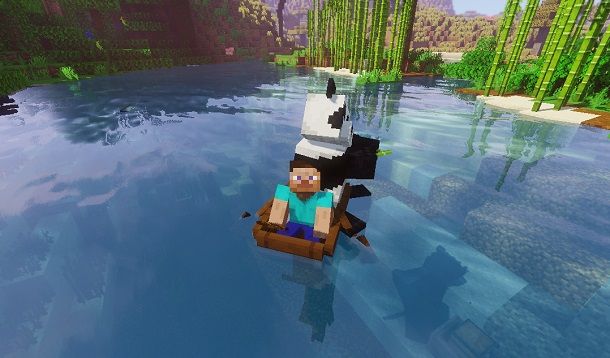 Trasportare un Panda in barca