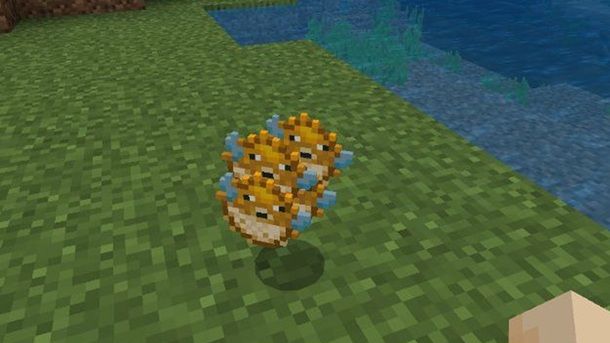 Pesce Palla Minecraft