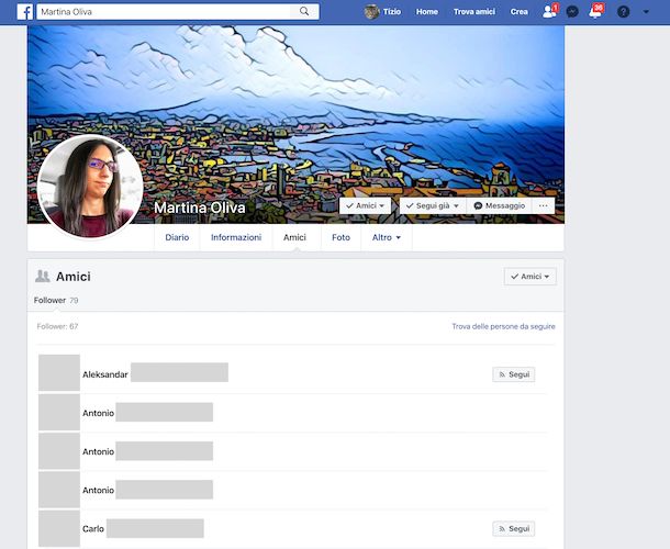 Facebook follower