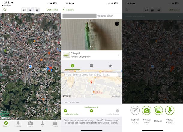 iNaturalist
