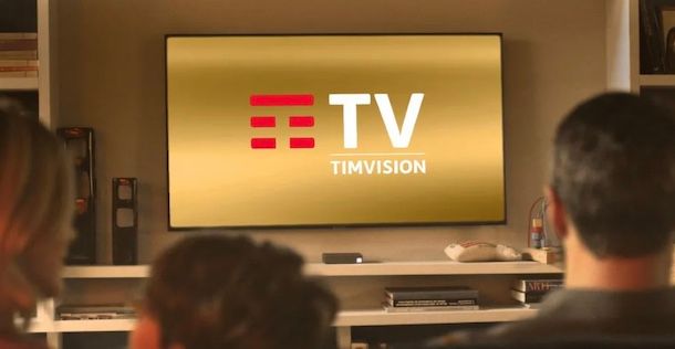 TIMVISION