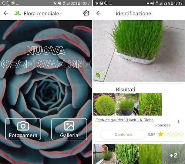 App per piante Salvatore Aranzulla