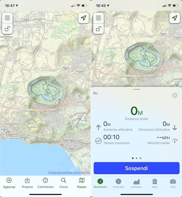 Topo Mappe+