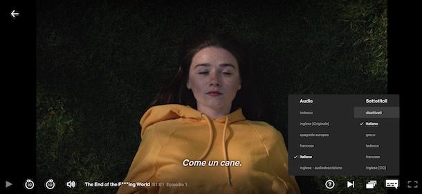 Come togliere sottotitoli su Netflix