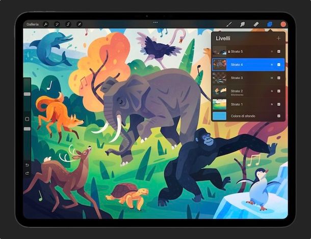 Procreate iPad
