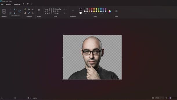 Altri programmi per editare foto su PC Paint