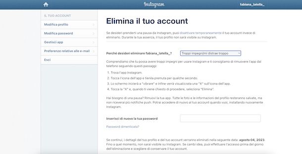 Pagina Web cancellazione Instagram