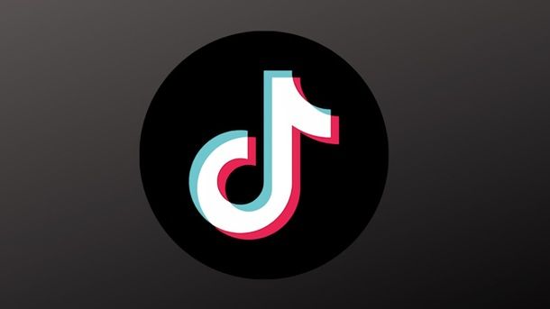 Come ridimensionare video per altri social TikTok